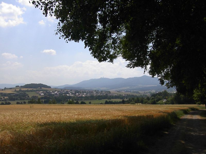 Soubor:Furth im wald ansicht.jpg