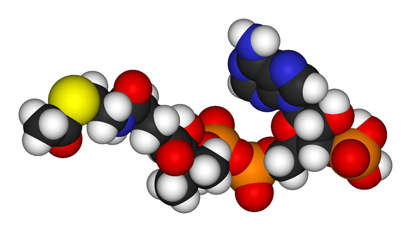 Soubor:Acetyl-coenzyme-A-3D-vdW.png