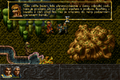 ALBION-DOSBox-033.png