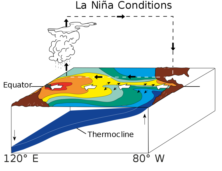 Soubor:ENSO - La Niña.png