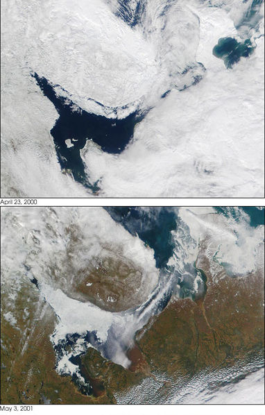 Soubor:Modis white sea.jpg