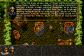 ALBION-DOSBox-018.png