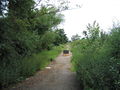 'Sandy Lane' or 'Sanday's Lane'^ Proposed Byway - geograph.org.uk - 867755.jpg