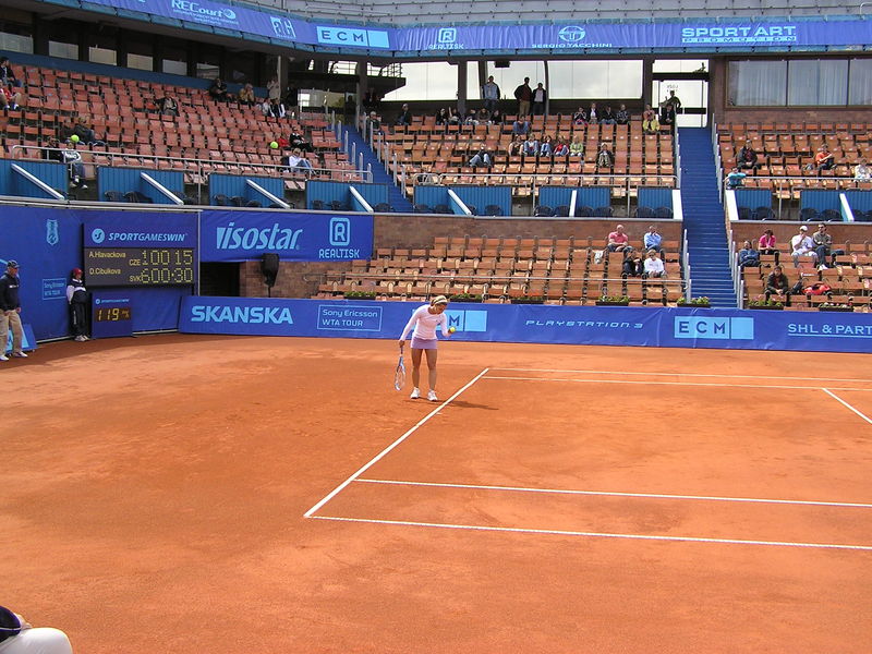 Soubor:DCibulkova-ECM10.jpg