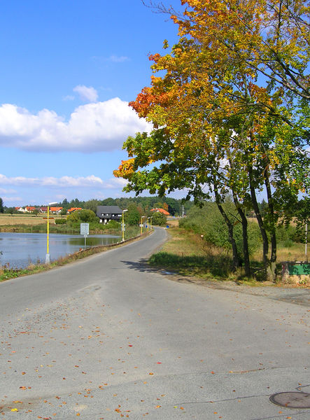 Soubor:Louňovice, Louňovický Pond 2.jpg