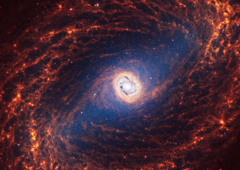 Soubor:NGC 1433-Webb Image-NASAFlickr.png