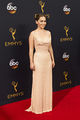 68th Emmy Awards Flickr48p07.jpg