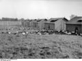 Bundesarchiv B 145 Bild-F001684-0001, Wiedenbrück, Geflügelhof.jpg