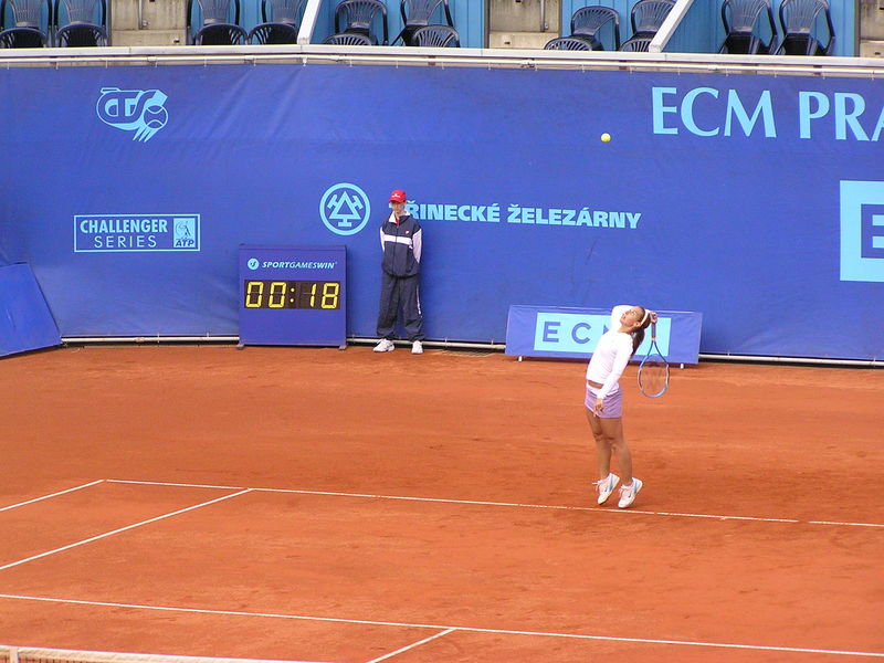 Soubor:DCibulkova-ECM08.jpg