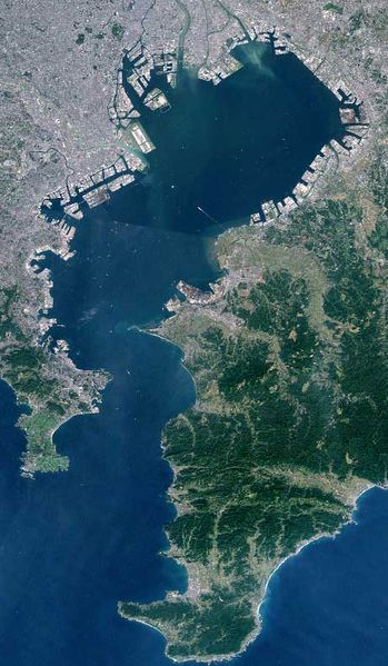 Soubor:Tokyobay landsat.jpg