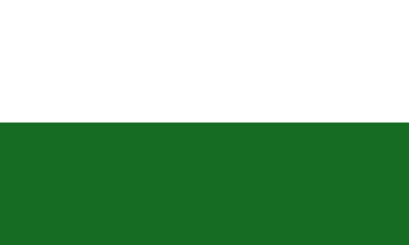 Soubor:Flag of Saxony.png