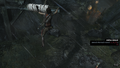 Tomb Raider GOTY-2013-085.png