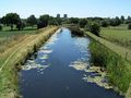 Wyrley and Essington Canal - geograph.org.uk - 201478.jpg