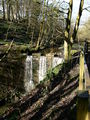 "Waterfall" in Redisher Woods - geograph.org.uk - 373004.jpg