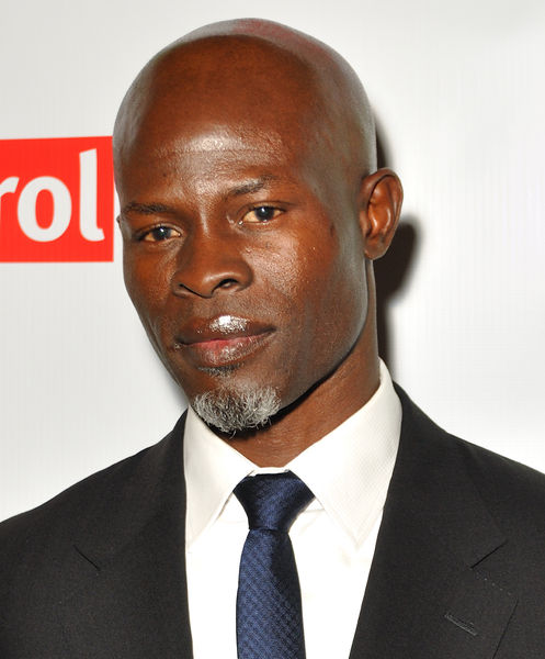 Soubor:Djimon Hounsou (cropped).jpg