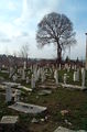 Edirne Graveyard 7345 Nevit.JPG