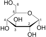 Schéma molekuly glukosy