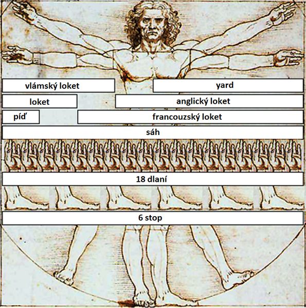 Soubor:Vitruvian Man Measurements cs.png