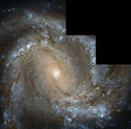 Messier 61 looks straight into the camera.jpg