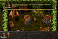 ALBION-DOSBox-022.png