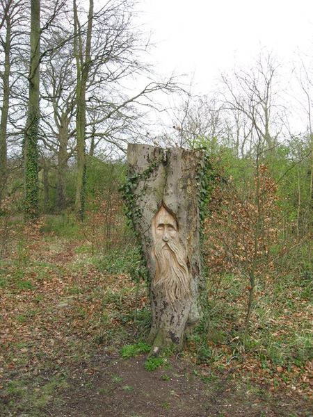 Soubor:'Green Man' - geograph.org.uk - 770436.jpg