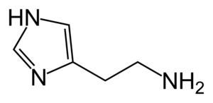 Struktura histaminu