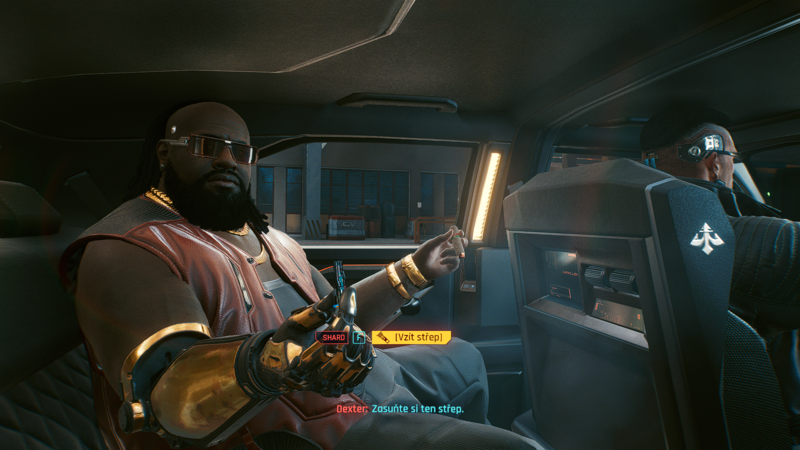 Soubor:Cyberpunk 2077-094.png