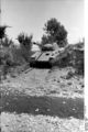 Bundesarchiv Bild 101I-478-2164-20, Italien, Panzer V (Panther) im Gelände.jpg