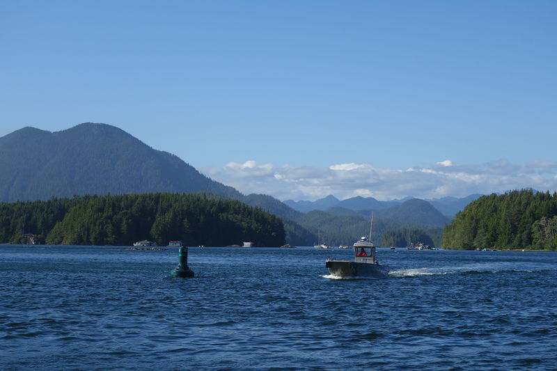 Soubor:Clayoquot Sound2.jpg