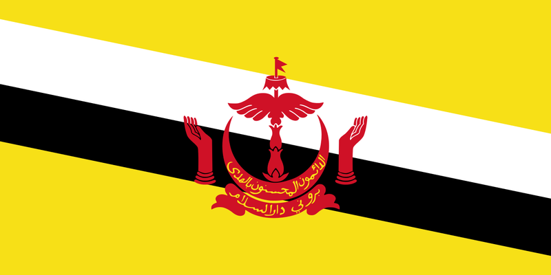 Soubor:Flag of Brunei.png