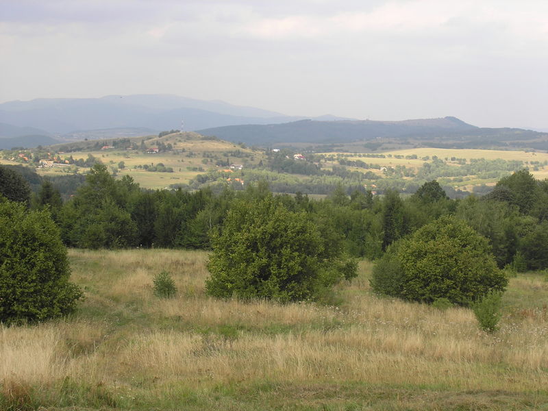 Soubor:Lehotska planina.jpg