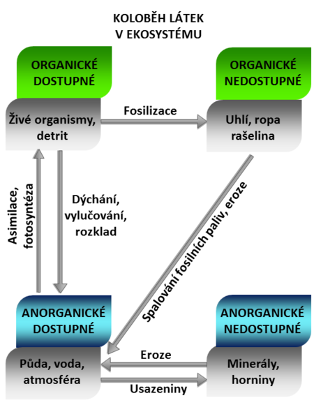 Soubor:Biochemical cycle flowchart czech.png