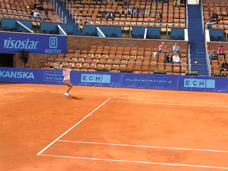 Soubor:DCibulkova-ECM11.jpg