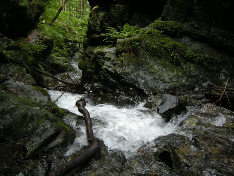 Soubor:Vodopády Stříbrného potoka3.jpg