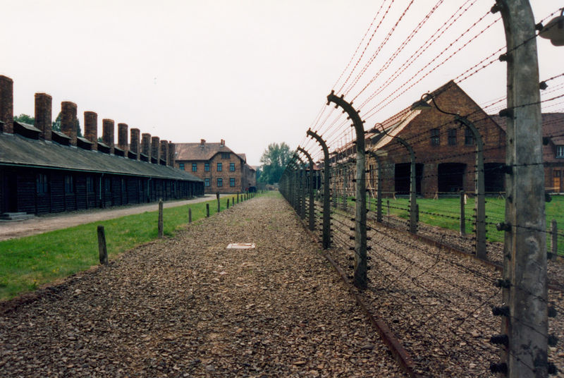 Soubor:Auschwitz Camp de Concentration.jpg