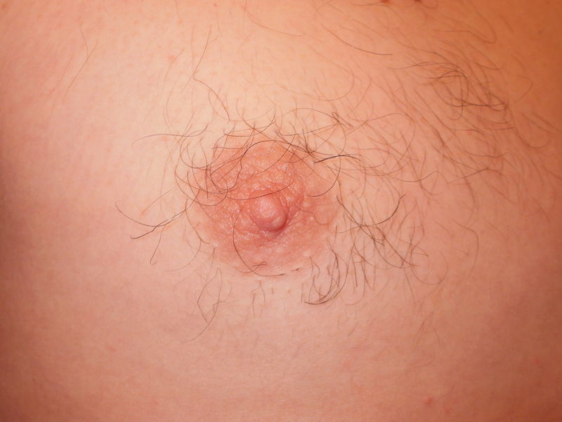 Soubor:Human nipple.jpg