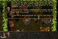 ALBION-DOSBox-017.png