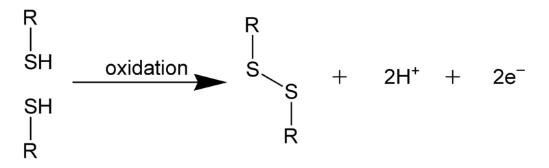 Soubor:Disulfide-bond.png