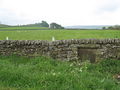 (Blocked up) sheephole in a drystone wall near Lonkley Head - geograph.org.uk - 822173.jpg