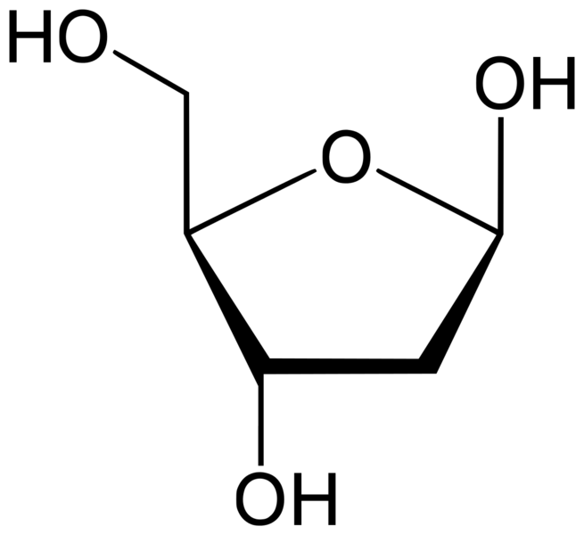 Soubor:Deoxyribose structure.png