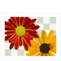 Windows 9 Icons (039).png