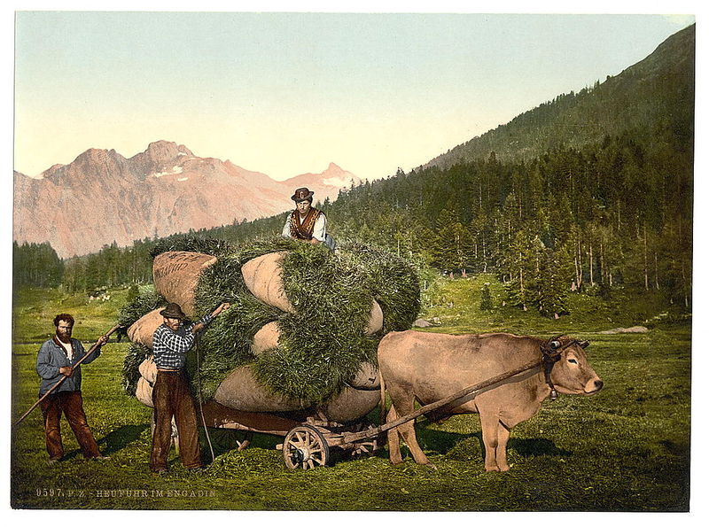 Soubor:Senosec Engadin 1900.jpg