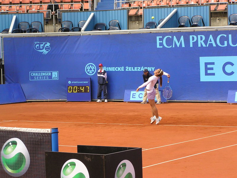 Soubor:DCibulkova-ECM12.jpg