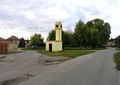 Záryby, common.jpg