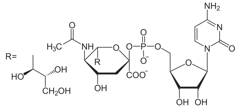 Soubor:CMP-N-Acetylneuraminat.png