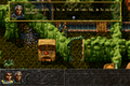 ALBION-DOSBox-024.png