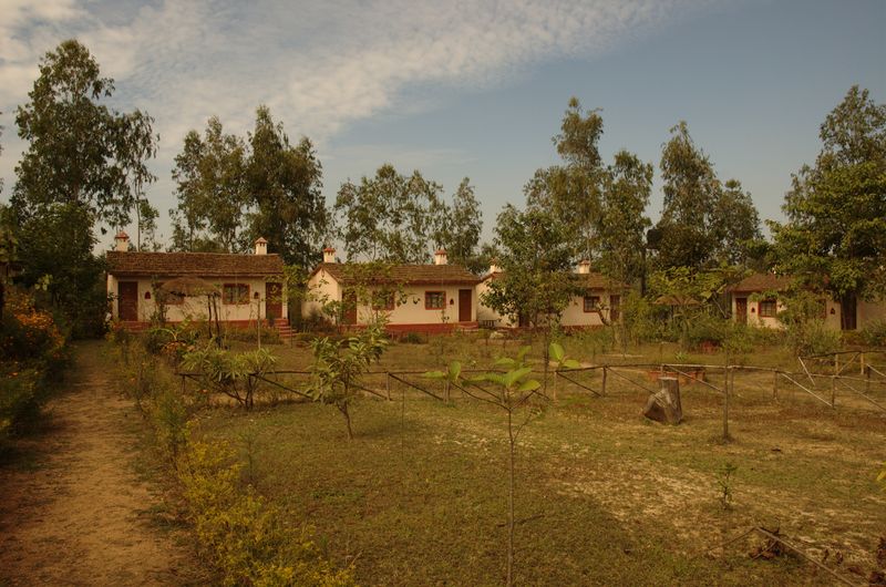 Soubor:Pug-mark-resort-in-kanha.jpg