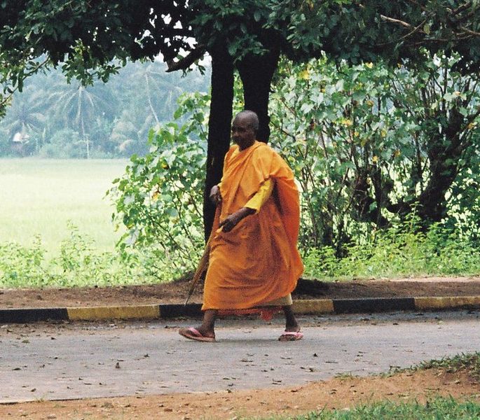 Soubor:Buddhist Monk.JPG