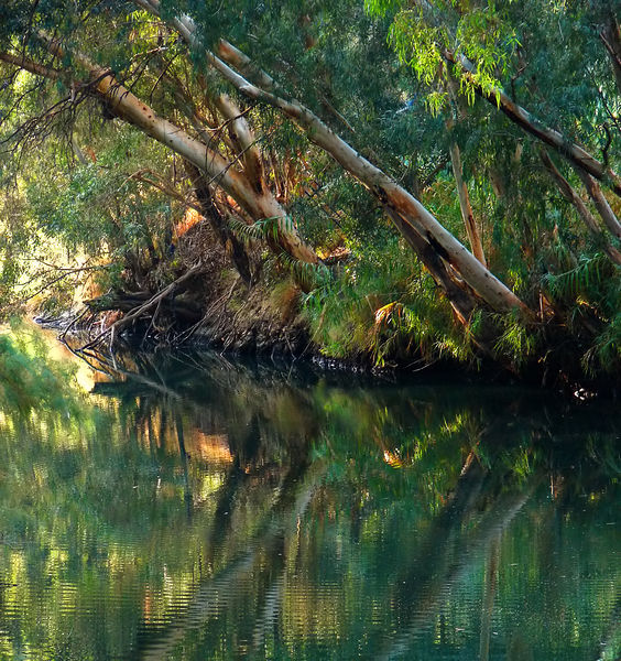 Soubor:Jordan River Bushy.jpg