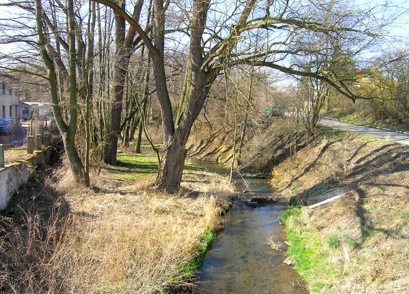 Soubor:Prague Pitkovice Creek.jpg